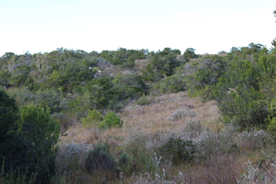 1 Bedroom Property for Sale in Bathurst Rural Eastern Cape